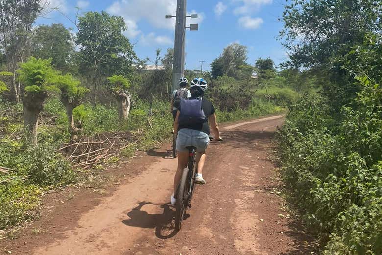 Ciclistas em Santa Cruz