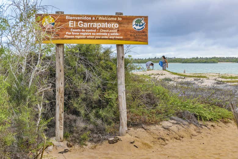 Welcome to El Garrapatero!