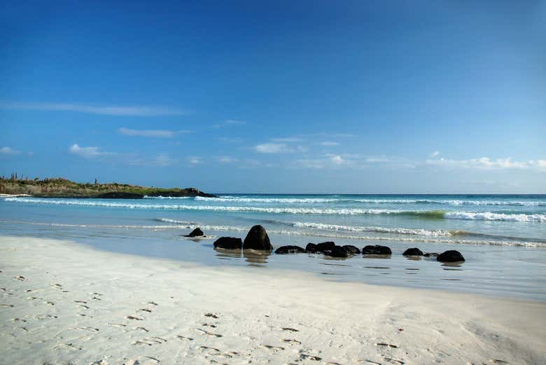 Paseando por Bahía Tortuga