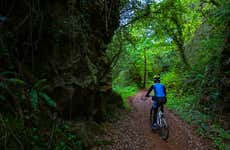 Tour en bicicleta por la Isla Santa Cruz