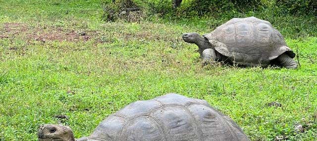 Tour por la Reserva Galápagos Frontier + Túneles de lava