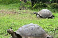 Tour della riserva di Galapagos Frontier + Tunnel di lava