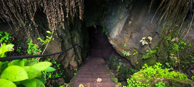 Tour por la parte alta de la Isla Santa Cruz