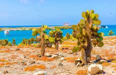 Transporte entre el Aeropuerto de Galápagos y la Isla de Santa Cruz