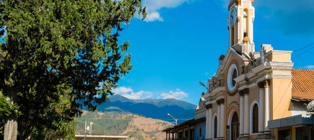 Podocarpus National Park and Vilcamba Tour