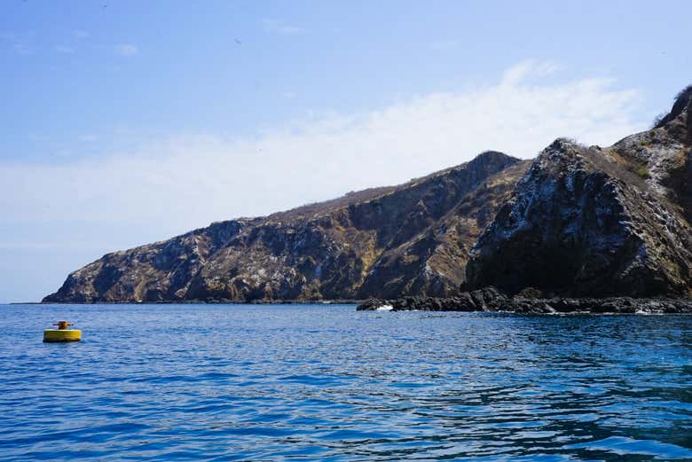 Overlooking the island's rugged coastline