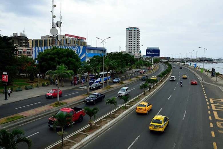 Main avenue
