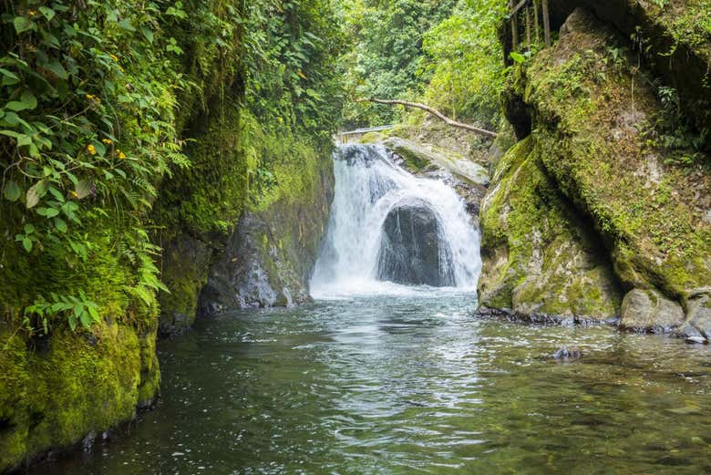 Cascada Nambillo en el Bosque de Mindo