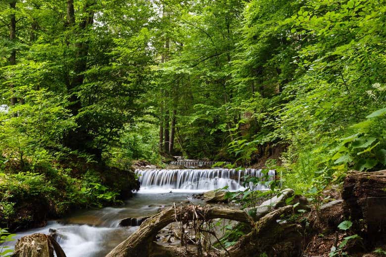 Saltos pequeños del Santuario de Cascadas