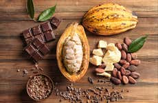 Visita a uma fábrica de chocolate