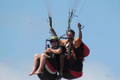 Soaring through the sky