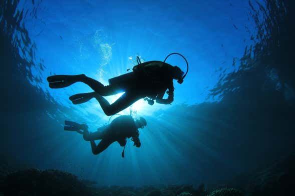 PADI Open Water Course