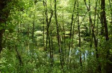 Excursión al bosque húmedo San Sebastián