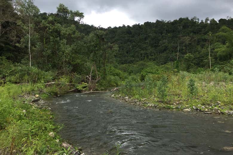 Scenery during the tour