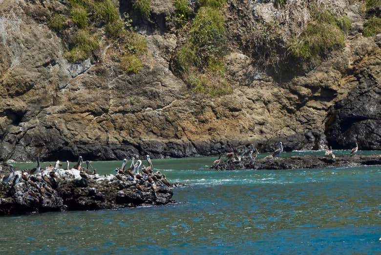 Arriving at Salango Island