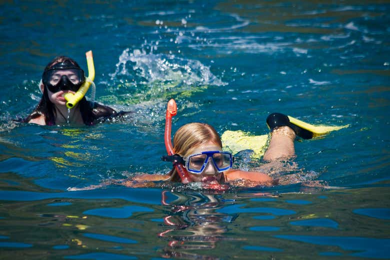 Snorkeling in the vicinity of the island