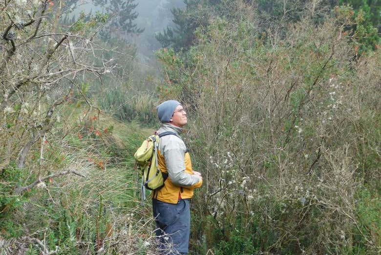 Trek through the beautiful Quero Forest