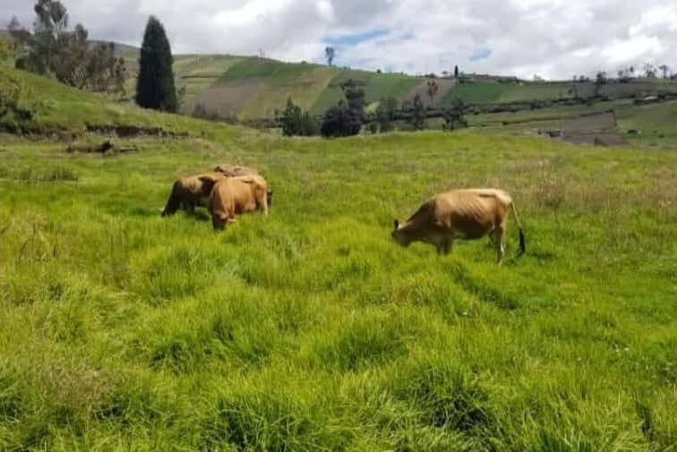See farm life while hiking through the grounds
