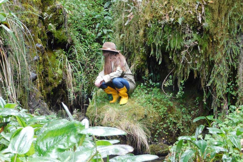 Rivers run through Hacienda Hipolongo