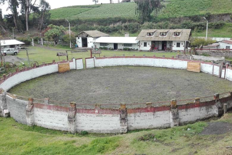 Hacienda Hipolongo Cruz de Mayo