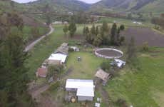 Trilha pelo bosque de Quero
