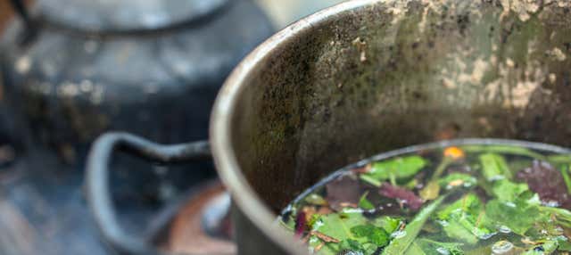 Ayahuasca Ceremony at Templo Jempe