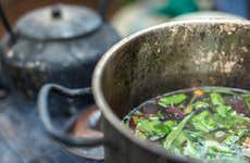 Cerimônia de Ayahuasca no Templo Jempe