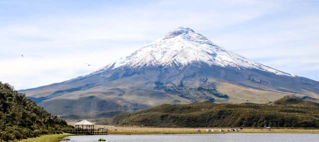 Cotopaxi National Park Day Trip