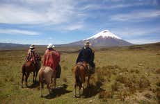 Excursión al Parque Nacional de Cotopaxi + Paseo a caballo