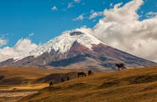 Excursión a Cotopaxi y Quilotoa