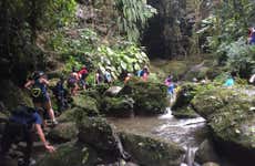 Excursion au Grand Canyon de Cotundo