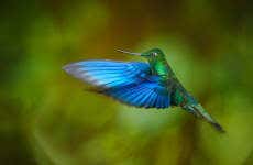 Yanacocha Reserve Tour