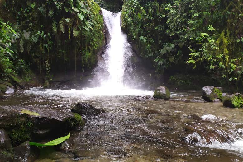 Sanctuary of the Waterfalls