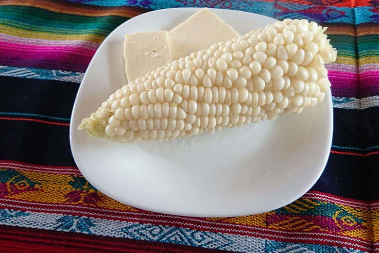 Corn on the cob with cheese, a typical dish