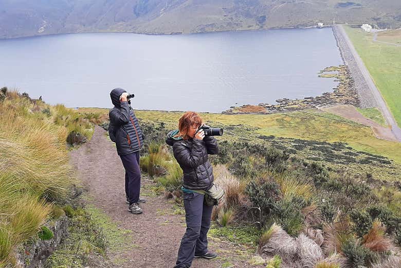 Enjoying Antisana's fauna and flora