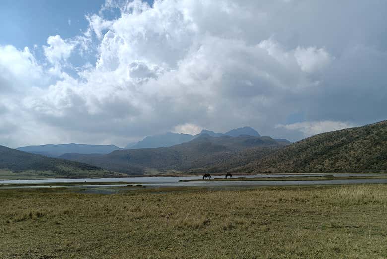 Paisaje natural alrededor de la laguna de Limpiopungo