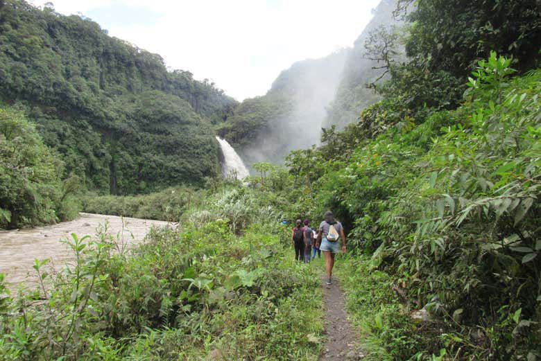 Waterfall in Cayambe Coca National Park