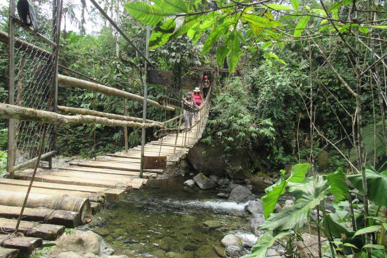 Ponte suspensa na selva equatoriana