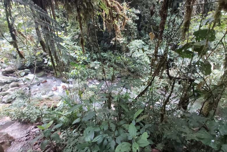 The diverse landscapes of cotundo