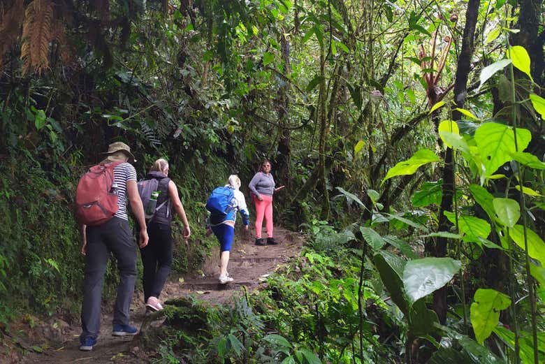 Hiking during the excursion