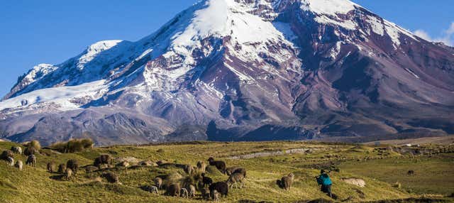 Excursion au volcan Chimborazo