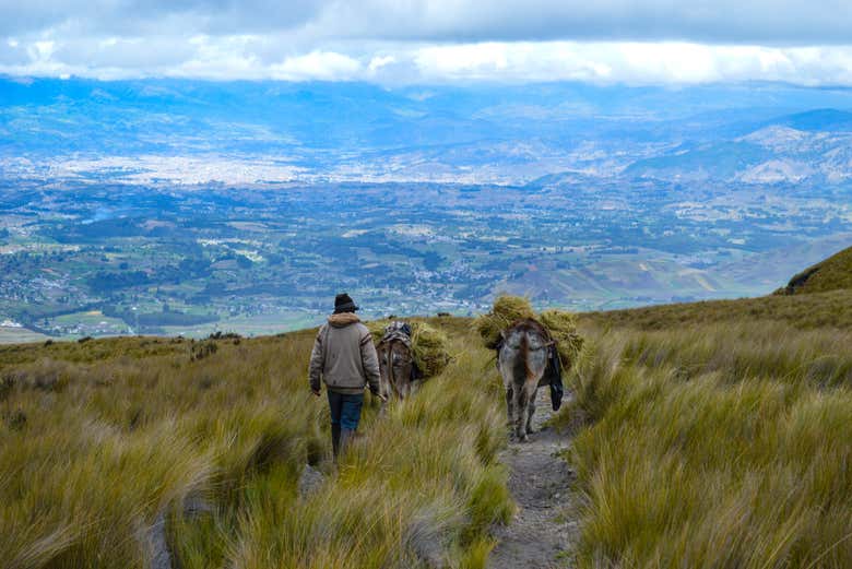 Hiking to the Chimborazo Volcano Ice Mine