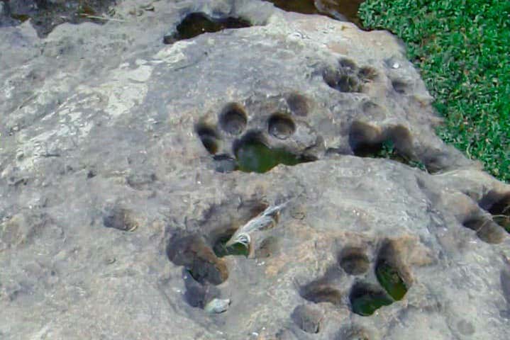 A journey into the Ice Age