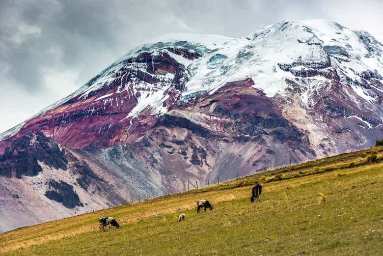Snow on the Chimborazo volcano