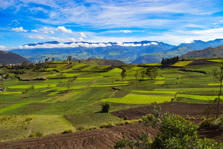 Lush Andean scenery