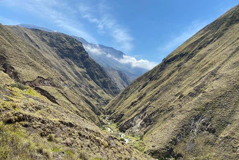 Meadows of the Chimborazo volcano