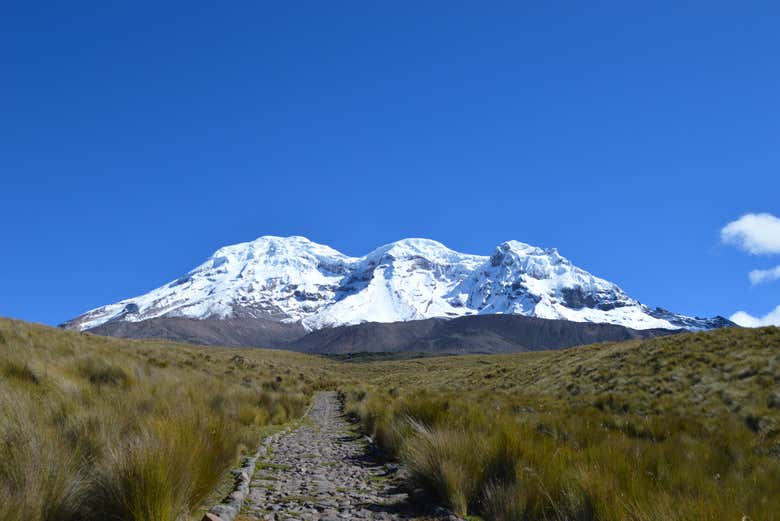 Views of Chimborazo's snowy peak