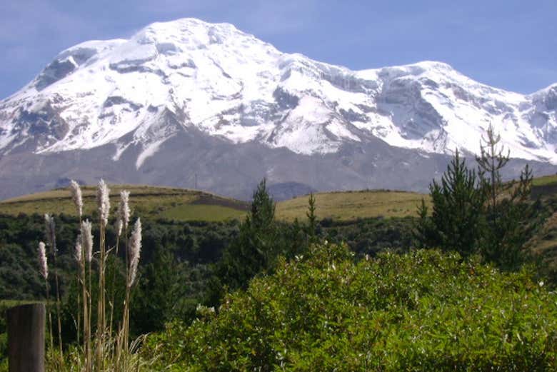 Divisando la cumbre del volcán