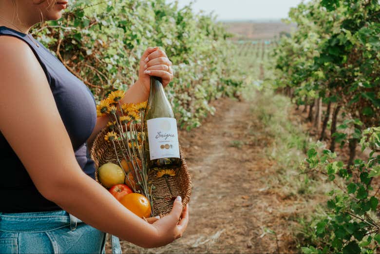 Visiting the Dos Hemisferios vineyards