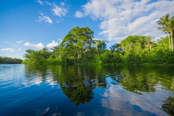 Multi Day Cuyabeno River Tour